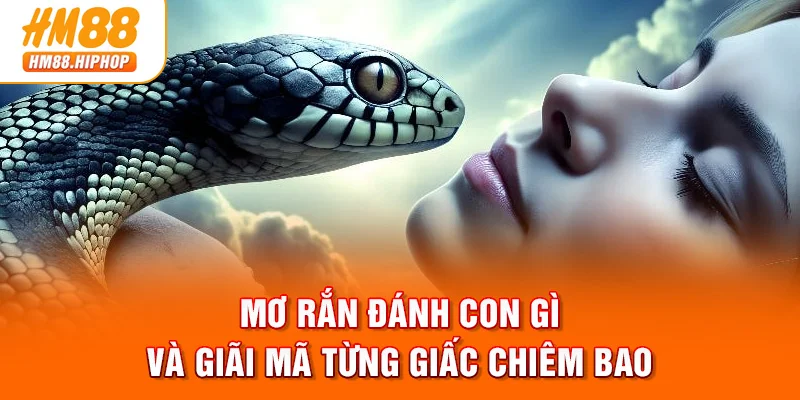 Mơ rắn đánh con gì và giải mã từng giấc chiêm bao